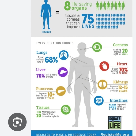 Green Organ Donation Awareness Ribbon - Picture 2 of 3